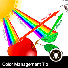 Color Management Tip