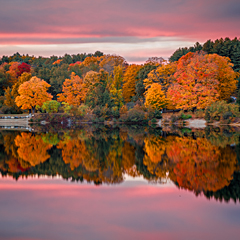 David Long: Indian Summer in Vermont