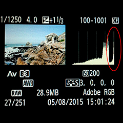 Camera Histogram 